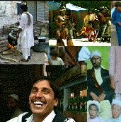 Collage.gif