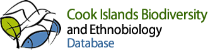 Cibed-LOGO_3Lines_T-128.png