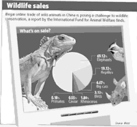 WhatsOnSale.png